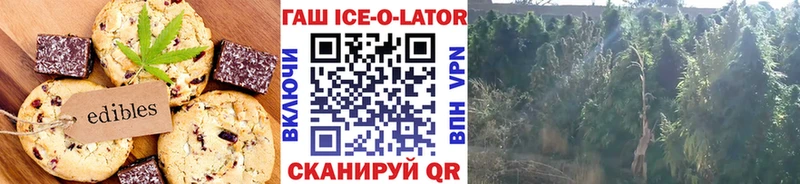 Еда ТГК конопля купить наркоту Новосокольники