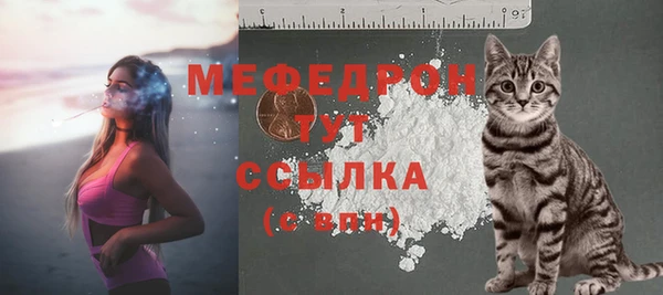 индика Новокубанск