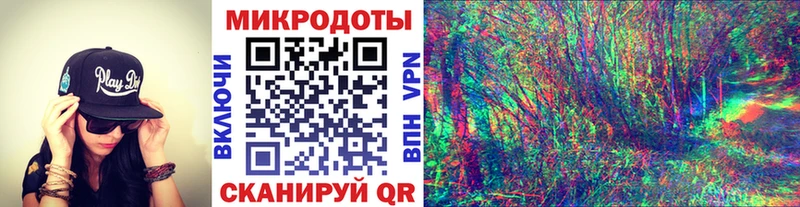 МЕГА ТОР Новосокольники Псилоцибиновые грибы Psilocybe